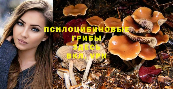 эйфоретик Алексеевка